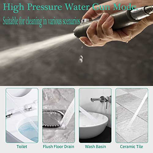 Shower Head with Handheld