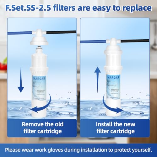 Replacement Filter F.SET.SS (2 Count)