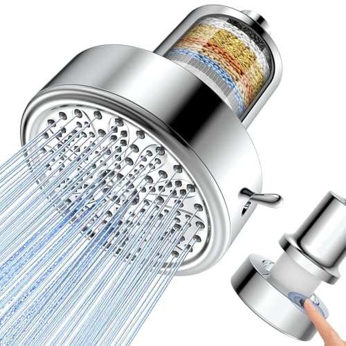 Filtered Shower Head with Filters