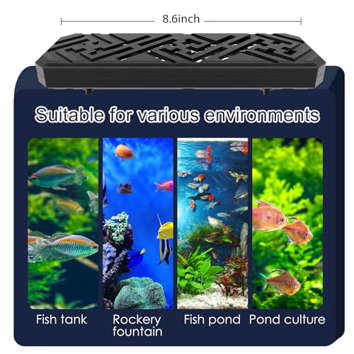 Aquarium Clean Light