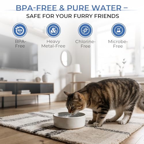 UV Countertop RO Water Filter System