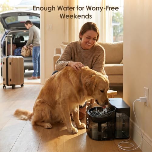 11L 372oz Large Dog Water Fountain