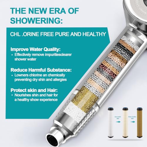 High Pressure Shower Head with Handheld