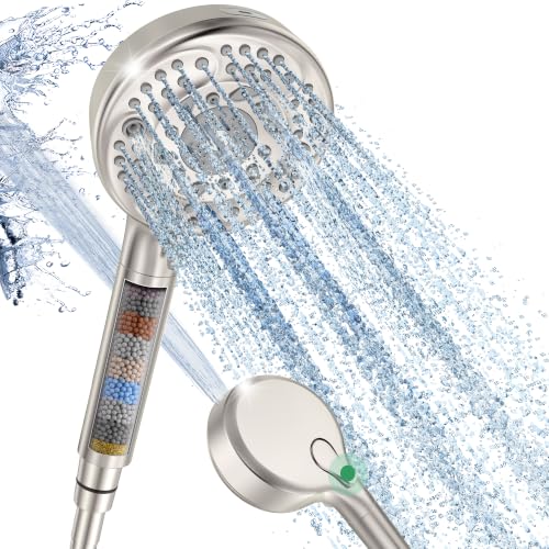 Filtered Shower Head with Handheld