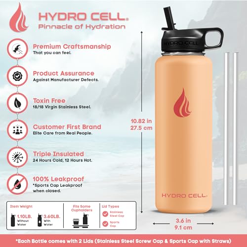 Stainless Steel Insulated Water Bottle with Straw