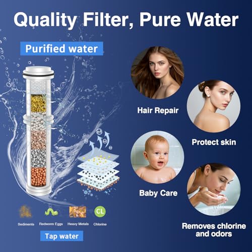 Filtered Shower Head with Handheld