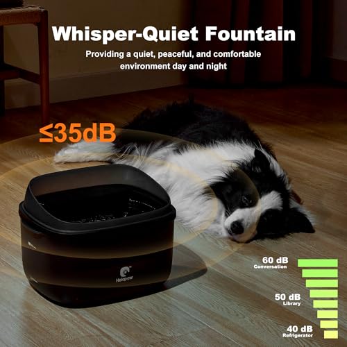 Dog Water Fountain for Large Dogs