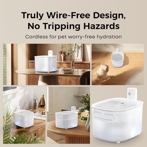 Wireless Cat Water Fountain