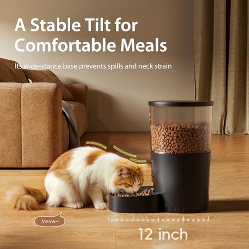 Automatic Cat Feeders