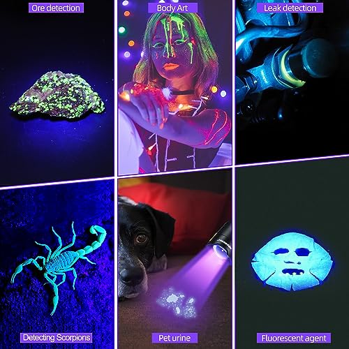 UV Flashlight 395nm Black Light Mini USB Rechargeable Ultraviolet LED Blacklight Woods Lamp Powerful Fluorescent Portable Detector for Pet Urine Stains