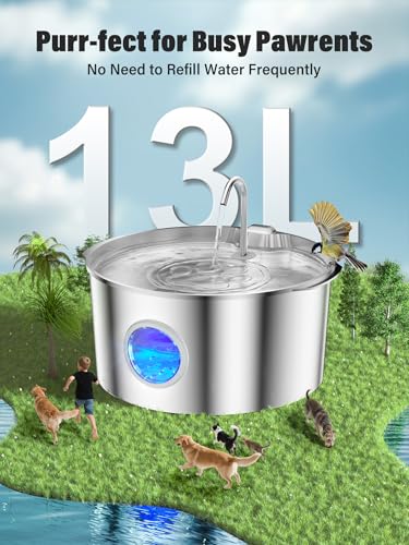 3.4Gal Dog Water Fountain for Large Dogs