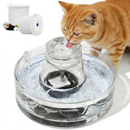 Glass Cat Water Fountain 88oz