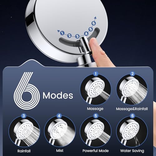 Filtered Shower Head with Handheld