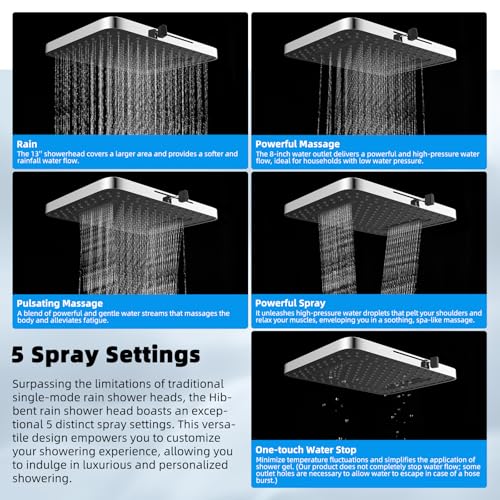 13'' 5 spray Rain Shower Head with 10