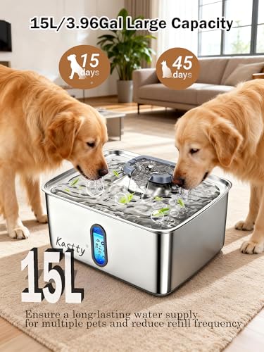 3.96 Gal Dog Water Fountain for Large Dogs