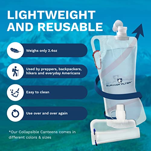 1L Clear Collapsible Water Bottles (2 Count)