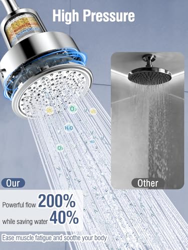 Filtered Shower Head with Filters