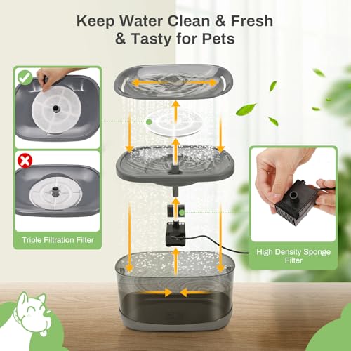 6 Pack Replacement Filters for 2.5Gal