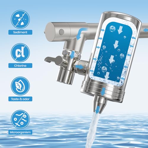 Kitchen Faucet with Water Filter and Pull Down Sprayer