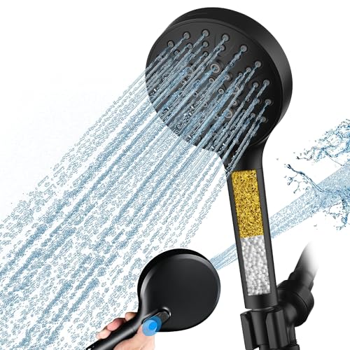 Filtered Shower Head with Handheld