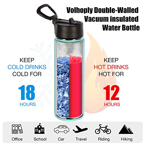 22 oz Insulated Water Bottles with Straw Lid