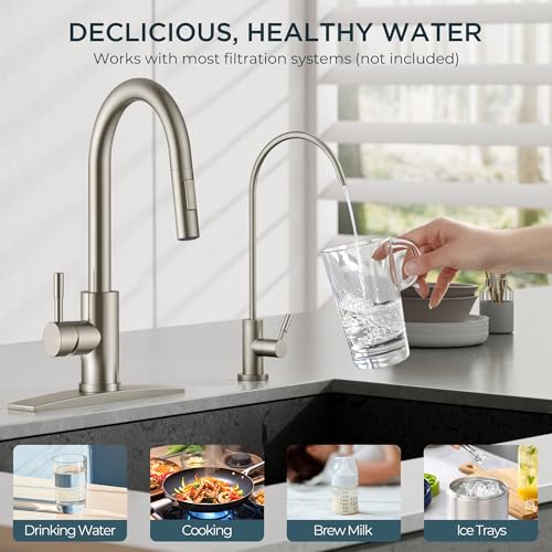 Kitchen Faucet and Water Filter Faucet Combo