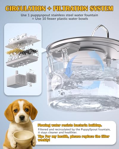 Dog Water Fountain for Large Dogs