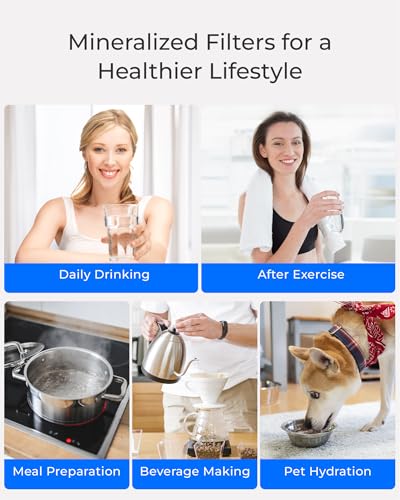 ALK16 Alkaline Water Filter System for Sink