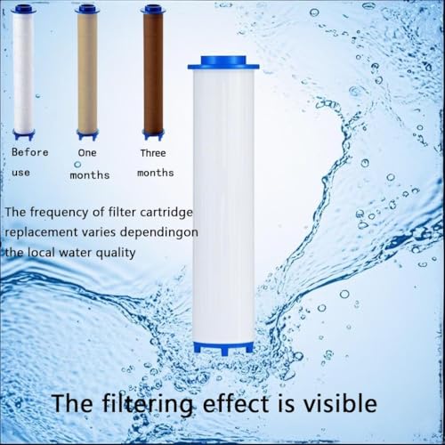 Shower head Filters 10 Pcs (10 Count)