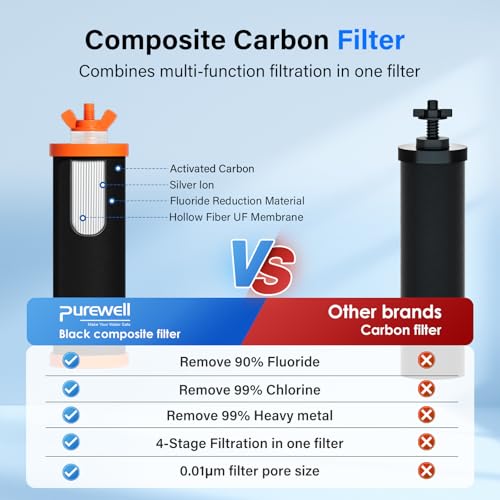 PF-3-FL Black 4-Stage Composite Carbon and Fluoride Reduction Filters, Compatible with Berlkey® Big+, ProOne® Big+ Gravity Water Filter Systems and Purewell Systems (2 Pack, K Series) (2 Count)