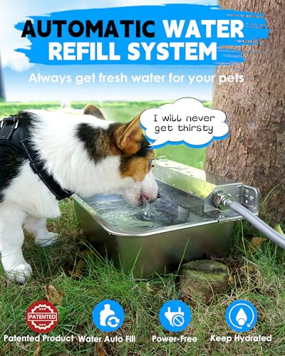 Automatic Dog Water Dispenser