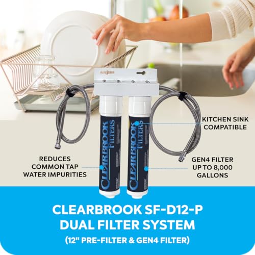 Dual Filter System