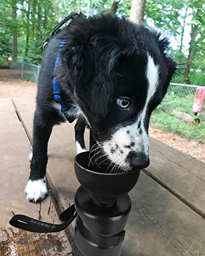 Dog Water Bottle