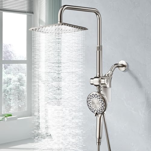 Filtered Rain Shower Head with Handheld Spray Combo