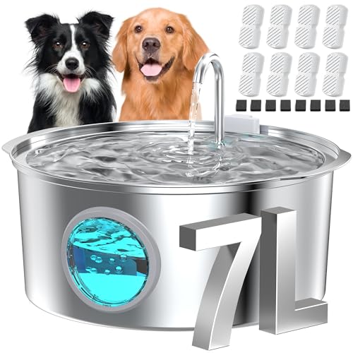 Dog Water Fountain for Large Dogs