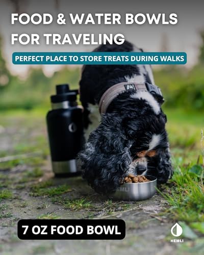 32 oz. Portable Dog Water Bottle and Bowl for Walking