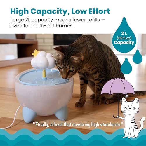 Purrfect Rain Cat Water Fountain
