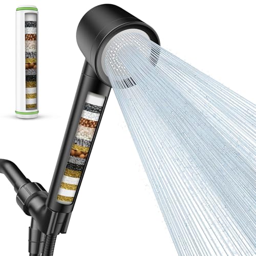 Filtered Shower Head with Handheld