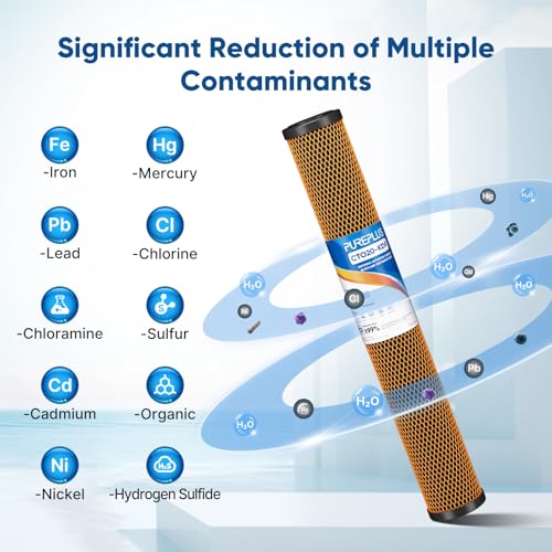 5 Micron 20" x 2.5" Whole House Coconut Shell Activated Carbon and KDF Water Filter (2 Count)
