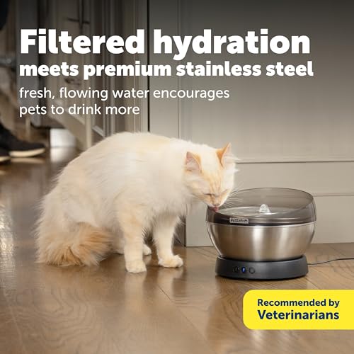HydroSphere 60 oz Stainless Steel Pet Fountain