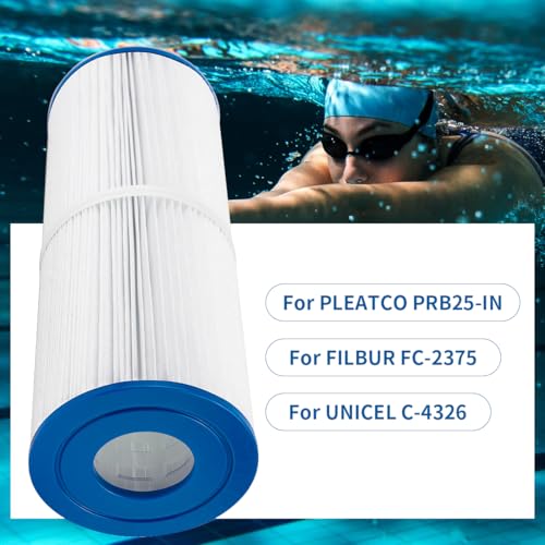 Replacement Spa Filter PRB25