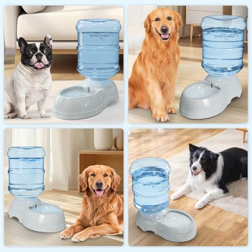 3 Gallon Large Dog Water Dispenser