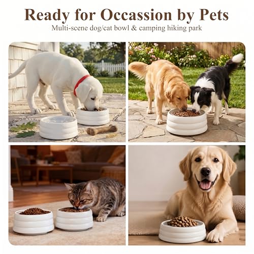 BOBO & Bowl Dog Water Bowl Food