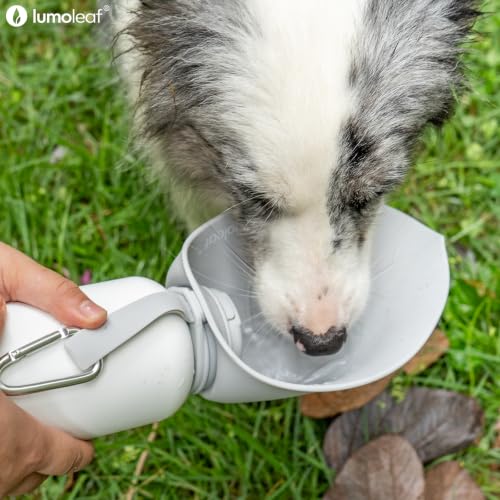 Insulated Dog Water Bottle 27 oz Stainless Steel