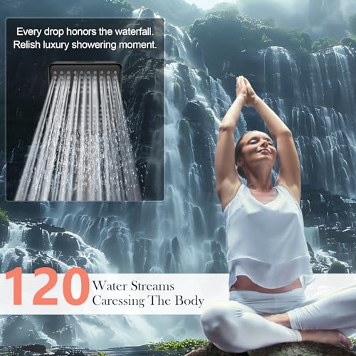 Filtered Shower Head with Handheld