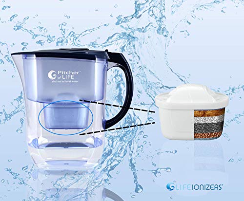 Pitcher of Life Alkaline Pitcher Replacement Water Filters (3 Count)