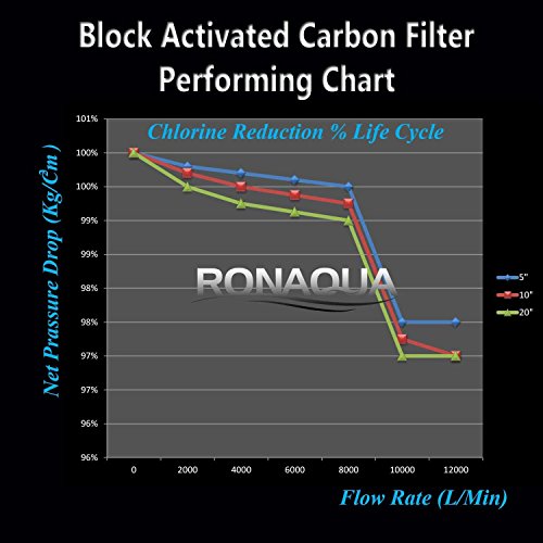 Big CTO Carbon Block Water Filters 4.5" x 10" Whole House Cartridge WELL