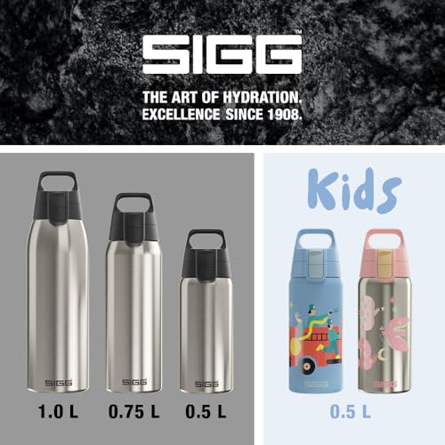 Insulated Water Bottle