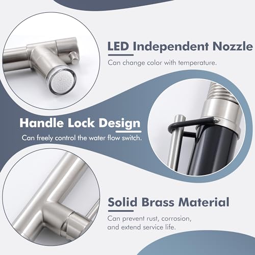 Dual Spout Kitchen Sink Faucet