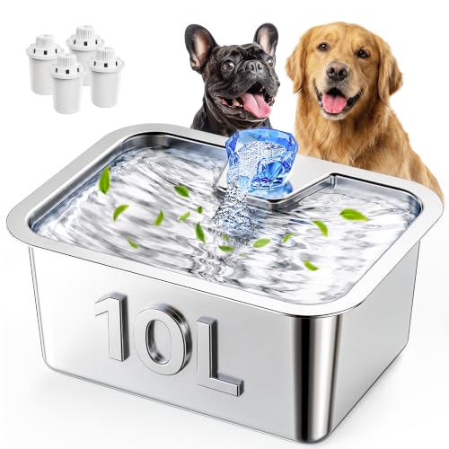 10L Large Dog Water Fountain